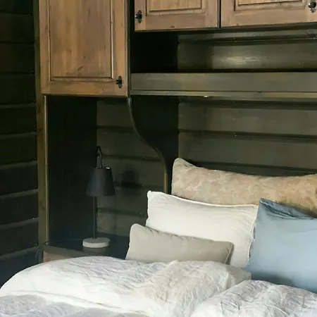 Spacious Family In Western Golsfjellet Prázdninový dům *